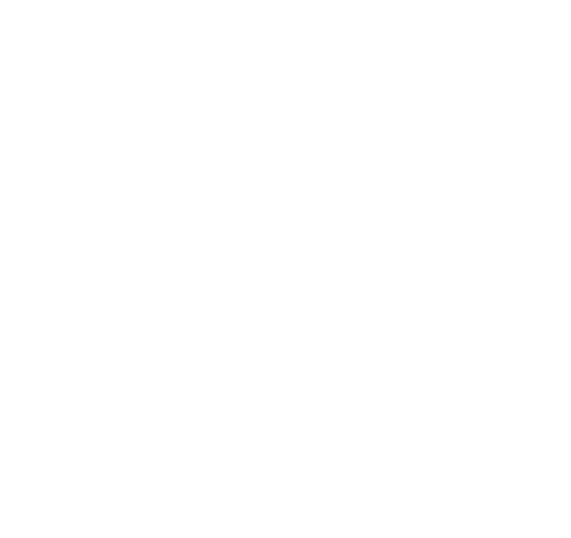 Dual School logo