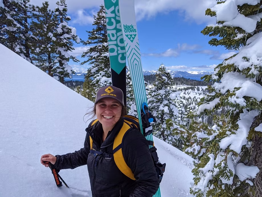 Student learning in a flexible environment